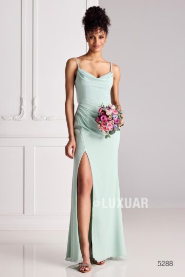 Prom Dress 5288
